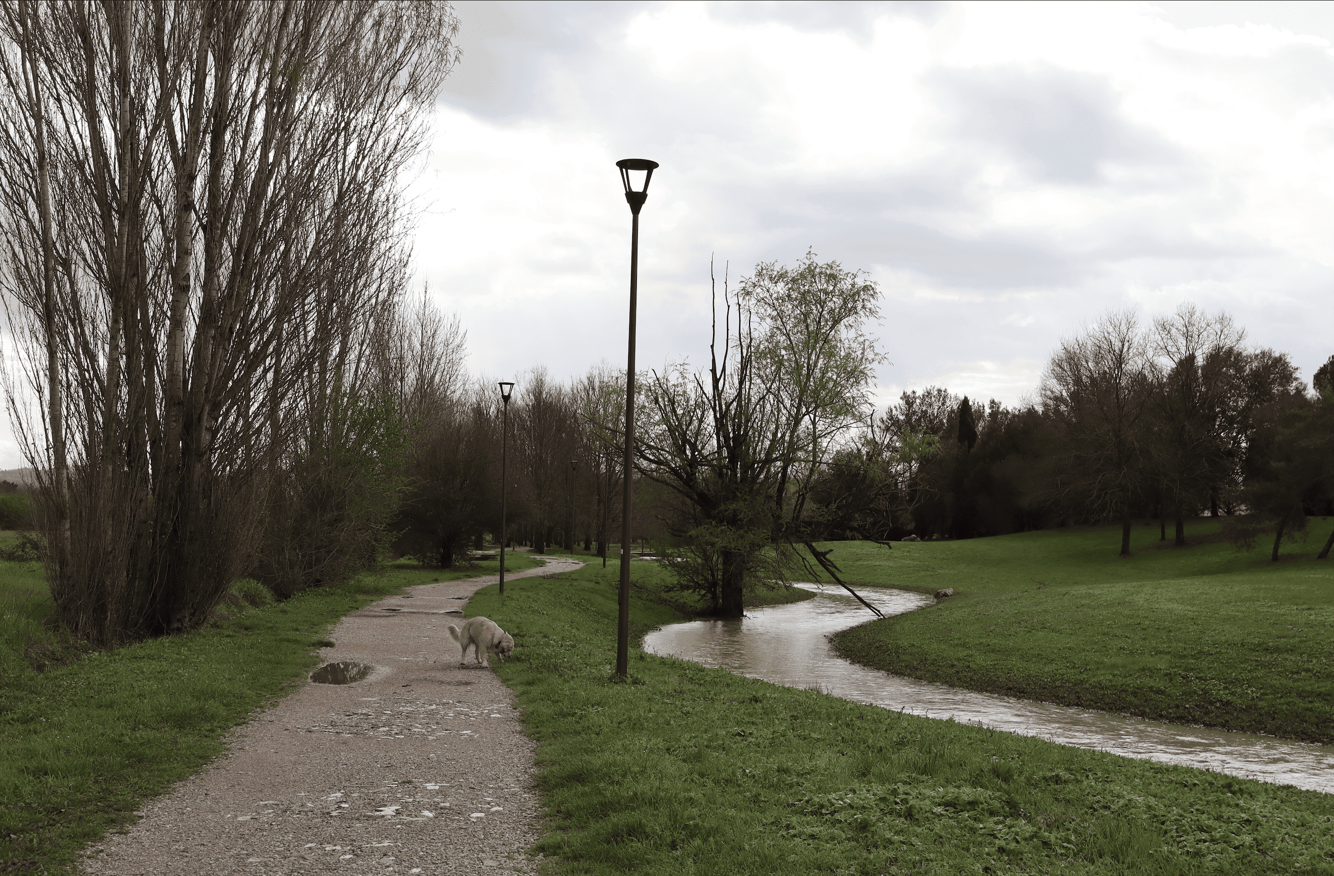 Parco di Serravalle | Empoli